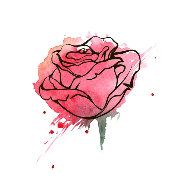 Fleur Roses Rouges Illustration Dessinée Main — Image vectorielle