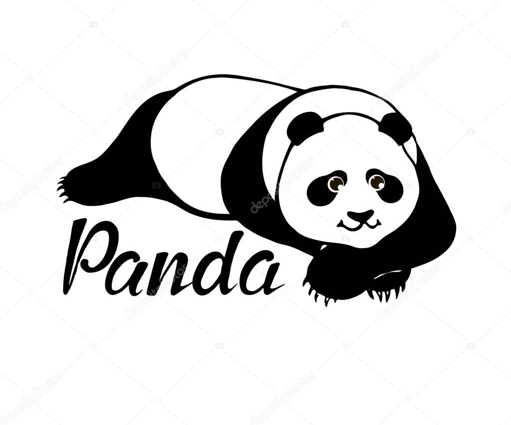 Cute panda bear lying - original hand drawn illustration