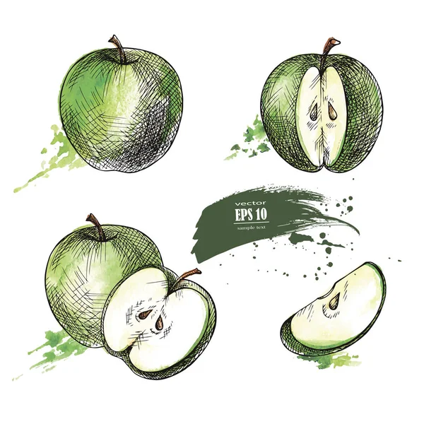 Зеленый набор яблок — стоковый вектор