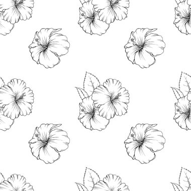 ebegümeci seamless modeli