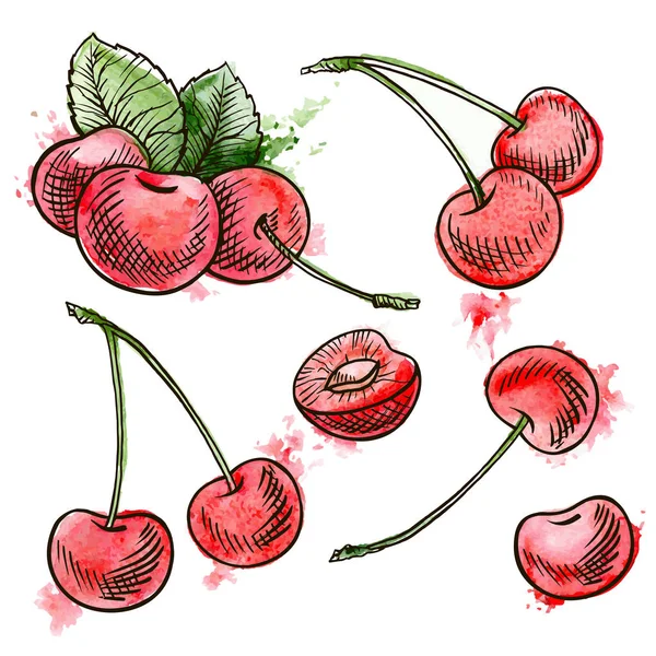 Cerises rouges dessinées à la main — Image vectorielle