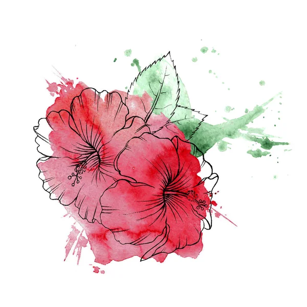Hand drawn hibiscus flower — Stock Vector