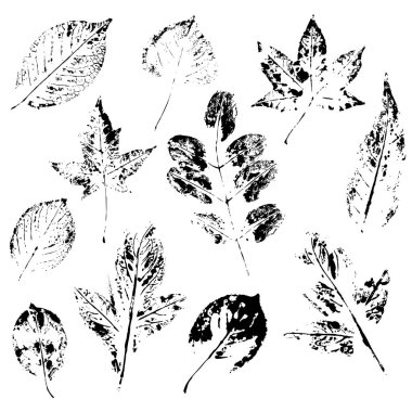 Damga yaprakları ile desen.