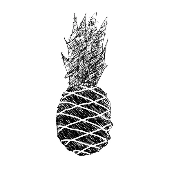 Grunge ananas hand getekend — Stockvector