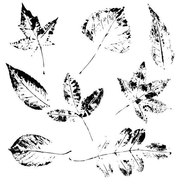 Jeu de feuilles d'impression — Image vectorielle