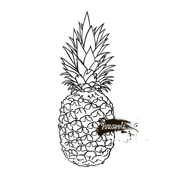 Ananas noir et blanc — Image vectorielle