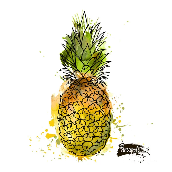 Hermoso color acuarela piña — Vector de stock