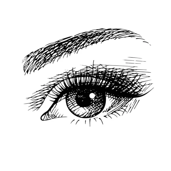 Güzel kadın göz krokisi