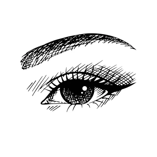 Boceto hermoso ojo de dama — Vector de stock