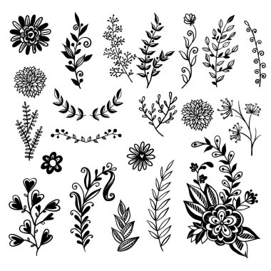 Bir dizi el yapımı bitki. Eskimiş karalama bitkileri. Vektör illüstrasyonu