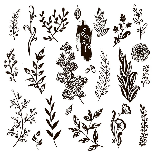 手描きの花や植物のコレクション モノクロームベクトルイラスト スケッチスタイル — ストックベクタ
