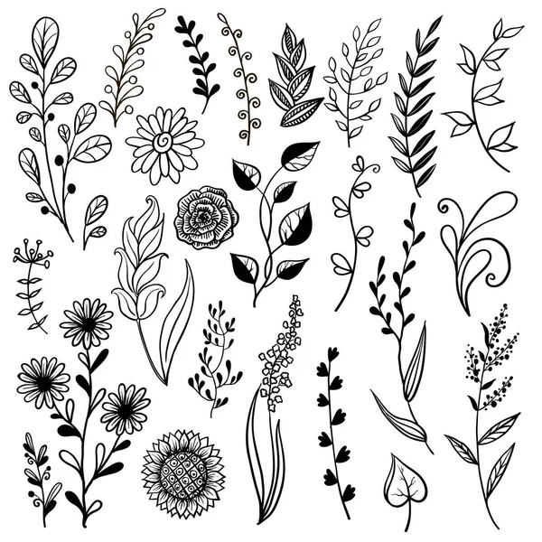 Collection Fleurs Plantes Dessinées Main Illustrations Vectorielles Monochromes Dans Style — Image vectorielle