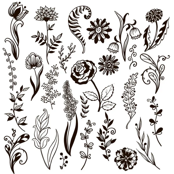 Big Set Flowers Herbs Vector Collection Leaf Hand Drawn Vintage — Stock Vector