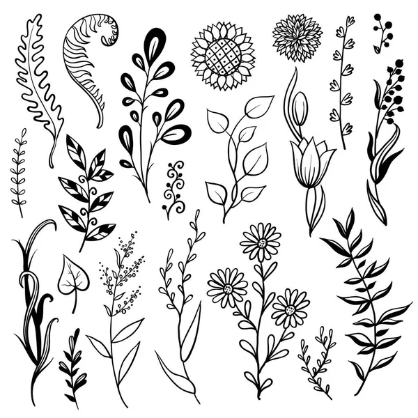 Coleção Flores Plantas Desenhadas Mão Ilustrações Vetoriais Monocromáticas Estilo Esboço — Vetor de Stock