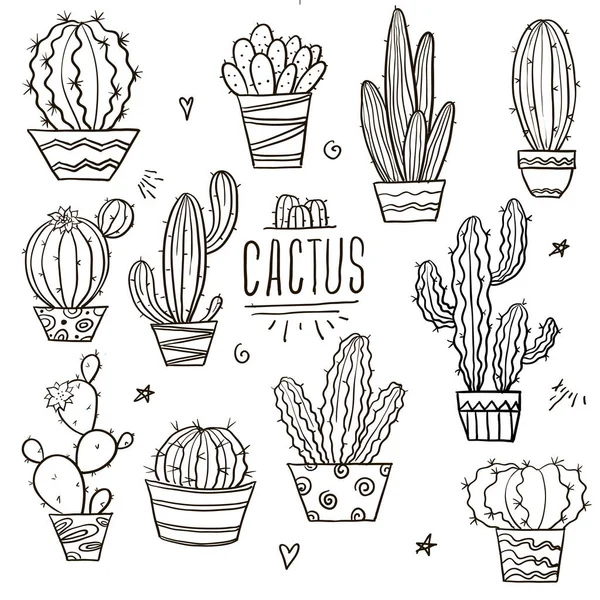Cute Kaktusów Soczystych Kolekcji Ilustracjami Konturu Bazgrołów Zestaw Botaniczny Różnymi — Wektor stockowy