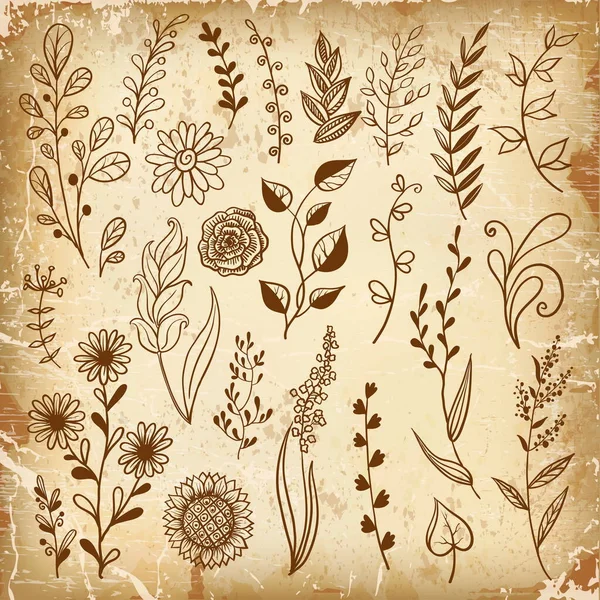 Collection Fleurs Plantes Dessinées Main Illustrations Vectorielles Dans Style Croquis — Image vectorielle
