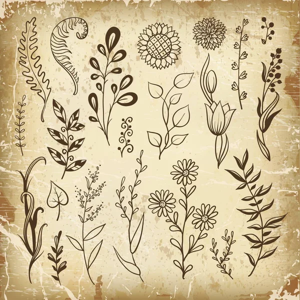 Handgetekende Bloemenelementen Voor Ontwerp Bloemen Kruiden Bladeren Doodle Stijl Vectorillustratie — Stockvector