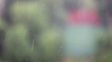 Gökyüzünden yağan şiddetli yaz yağmuru