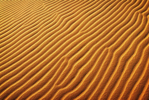 Sand waves in the sunset