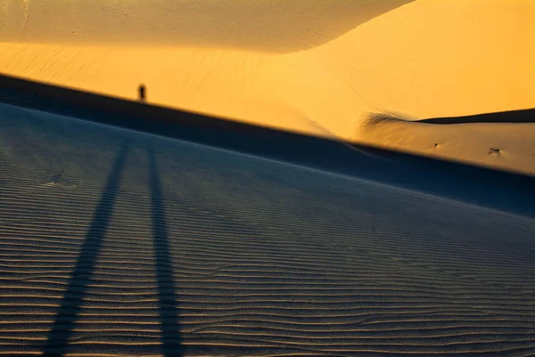 沙丘上的人的影子 — 图库照片