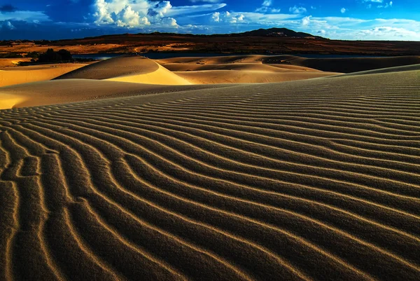 Escena Dunas Arena Puesta Del Sol — Foto de Stock