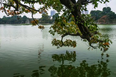 Hoan Kiem gölünde yüzen tapınak, Hanoi, Vietnam