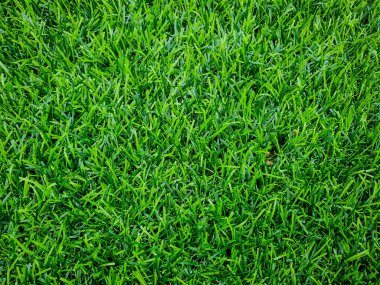 Sahte çim arka plan, oyun alanları ve / veya dekorasyon binaları için kullanarak.