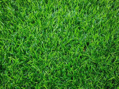 Sahte çim arka plan, oyun alanları ve / veya dekorasyon binaları için kullanarak.