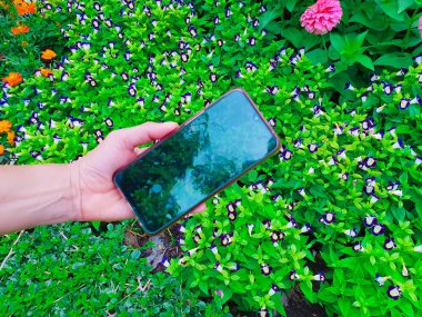 Bir akıllı telefon kullanarak doğanın bir fotoğraf çeken kadın, bakış açısı çekim