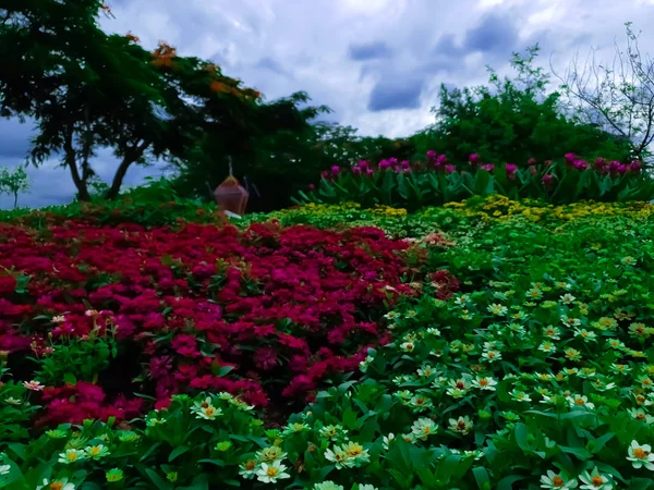 Garten Aus Vielen Bunten Und Vielfältigen Blumen — Stockfoto