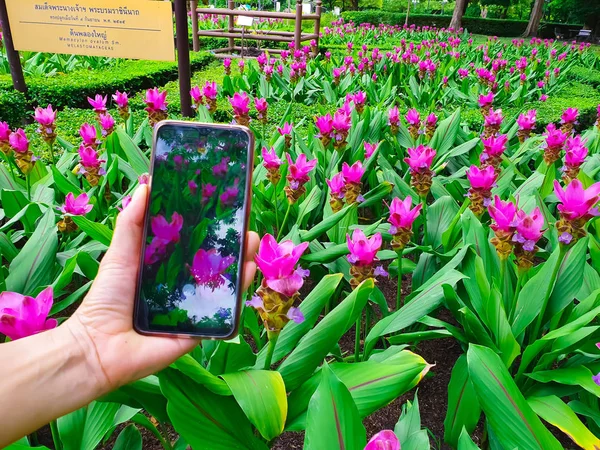 Žena Která Fotografovat Přírodu Pomocí Smartphone Bod Pohledu — Stock fotografie