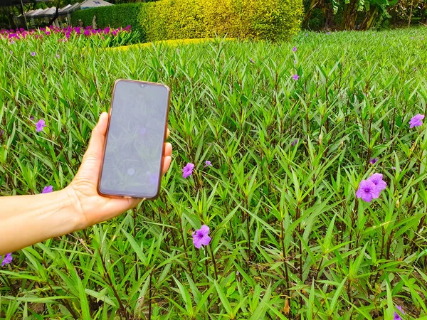 Vrouw Die Een Foto Van Natuur Met Behulp Van Een — Stockfoto