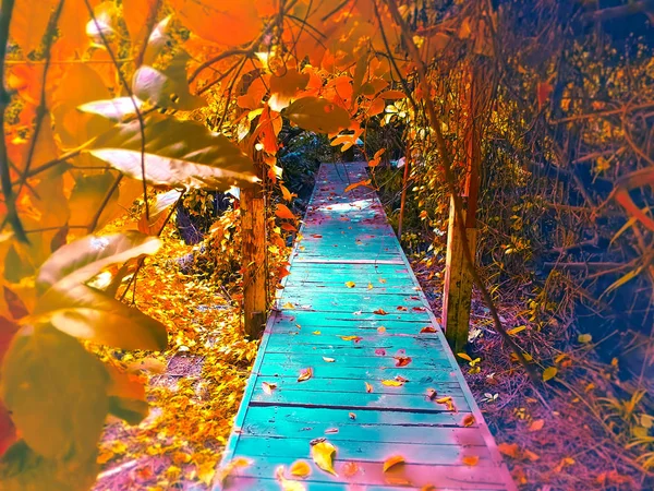 Осенний Пейзаж Пожелтевшие Деревья Опавшие Осенние Листья Аллее Городского Парка — стоковое фото
