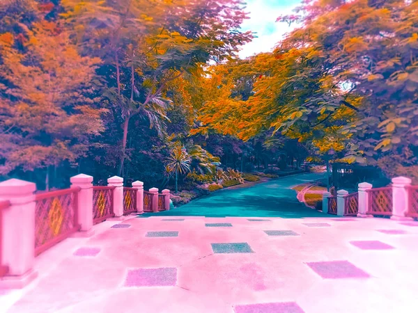 Осінній Пейзаж Пофарбовані Дерева Осіннє Листя Провулку Міського Парку Сонячний Ліцензійні Стокові Фото