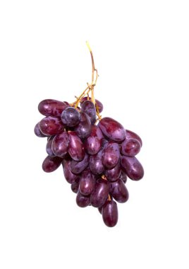 Bir meyvenin yakın çekimi