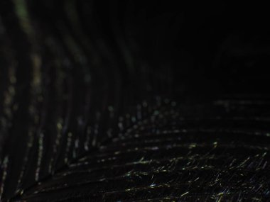 Tavus kuşu tüyü makro