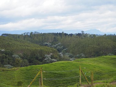 Consota Nehri Vadisi'ndeki manzaralar