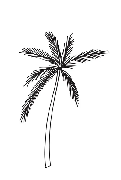 -Ručně tažené bezešvé vzor s palmami, izolované na bílém pozadí — Stockový vektor
