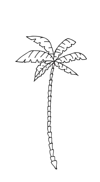 Padrão sem costura desenhado à mão com palmeiras, isolado sobre fundo branco — Vetor de Stock