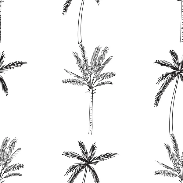 Handgezeichnetes nahtloses Muster mit Palmen, isoliert auf weißem Hintergrund — Stockvektor