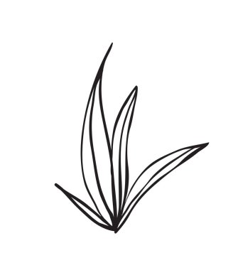 Beyaz arka plan üzerinde izole bir bitkinin çizilmiş kroki