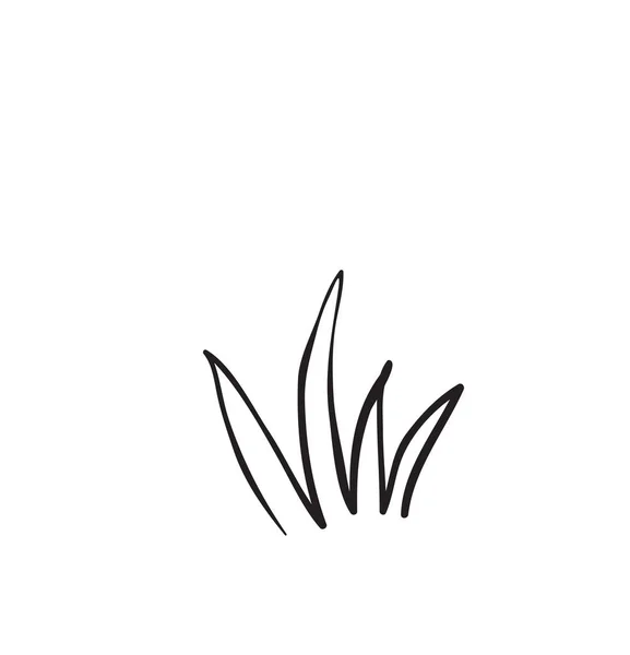 Dibujo dibujado a mano de una planta, aislado sobre fondo blanco — Vector de stock