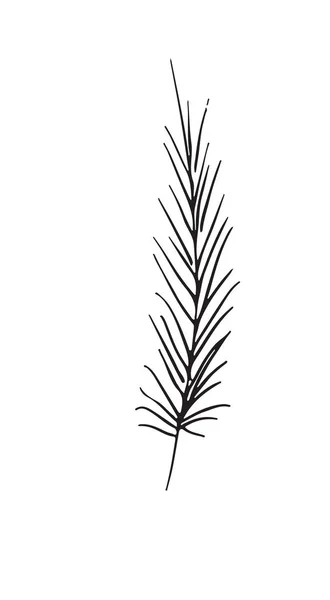 Hand-drawn sketch of a plant, isolated on white background — Stock Vector