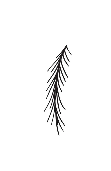 Мальований малюнок рослини, ізольований на білому тлі — стоковий вектор