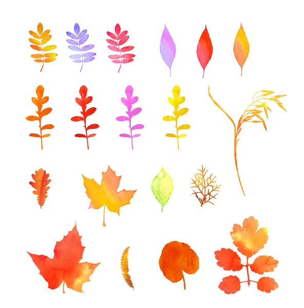 Üdvözöljük őszi akvarell gyűjtemény kézzel őszi levelek és virágok — Stock Fotó