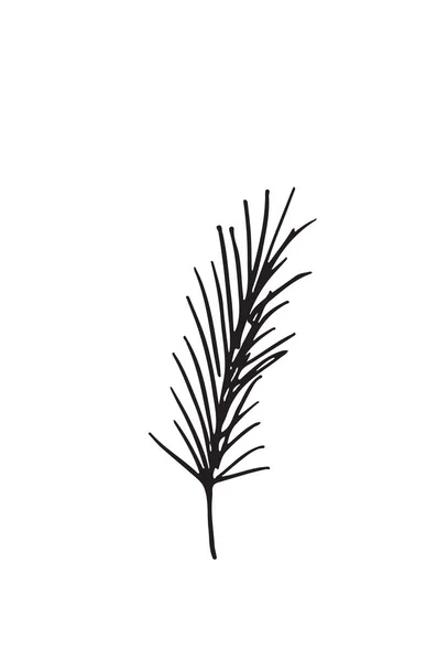 Ручной рисунок растения, выделенного на белом фоне — стоковый вектор
