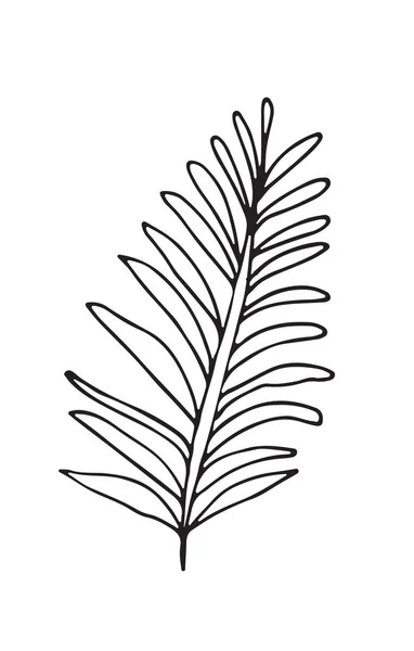 Kézzel rajzolt vázlat egy növényi, elszigetelt fehér background — Stock Vector