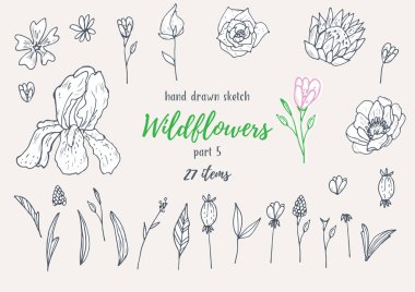 Bitkiler ile çizimler vektör toplama el çizilmiş