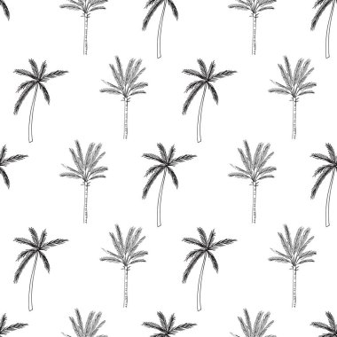 Beyaz arka plan üzerinde izole palmiye ağaçları ile seamless modeli çizilmiş