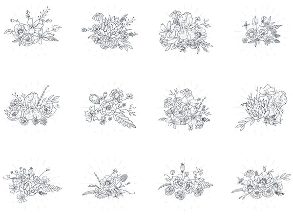 Vector collectie van Hand getrokken schetsen met planten — Stockvector